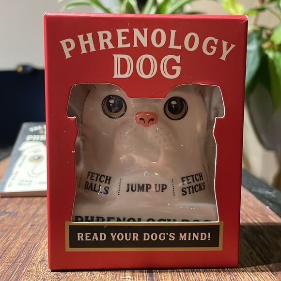 Dog Phrenology figurine  - Picture 2 of 7